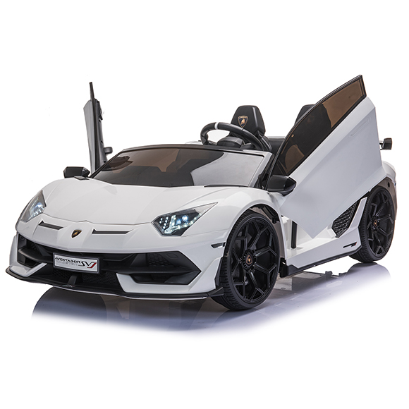 SX2028 (9).jpg
