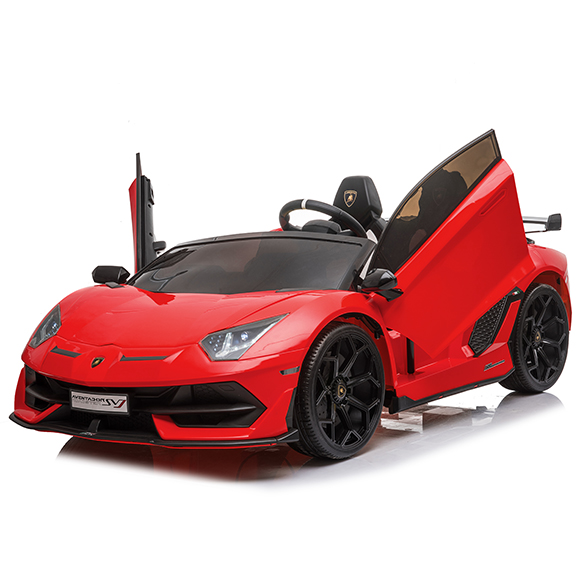 SX2028 (7).jpg