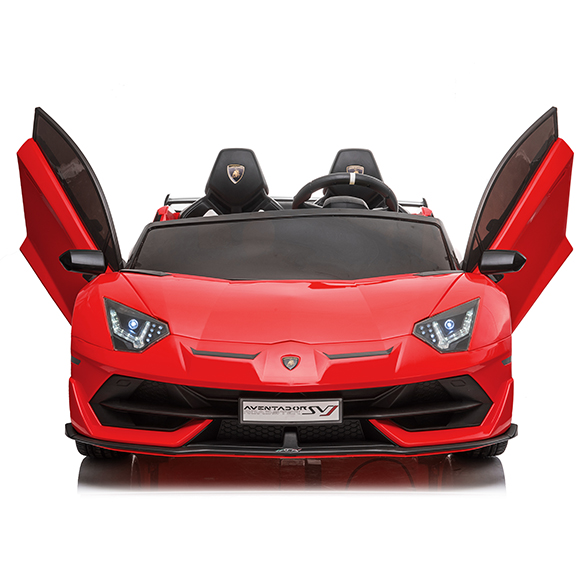 SX2028 (6).jpg
